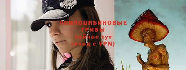 спиды Алексин