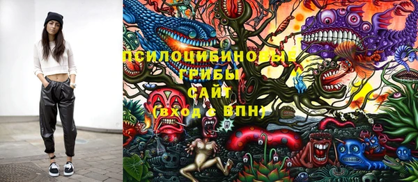первитин Алексеевка