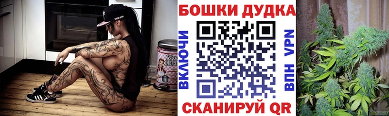 наркотики  Новоузенск  Конопля Bruce Banner 